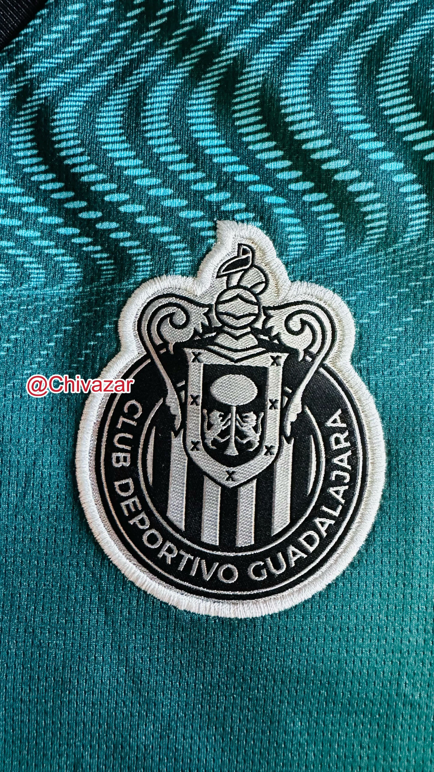 Alternativa 2024 aficionado