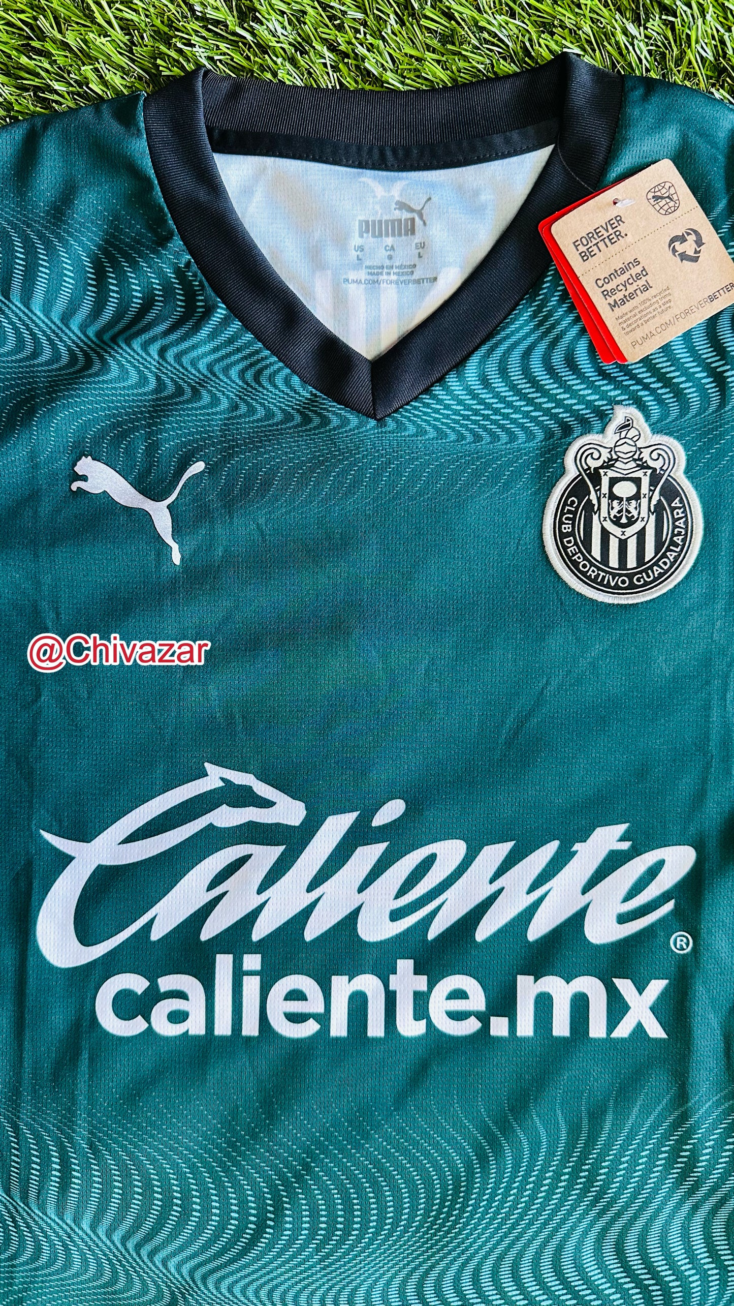 Alternativa 2024 aficionado