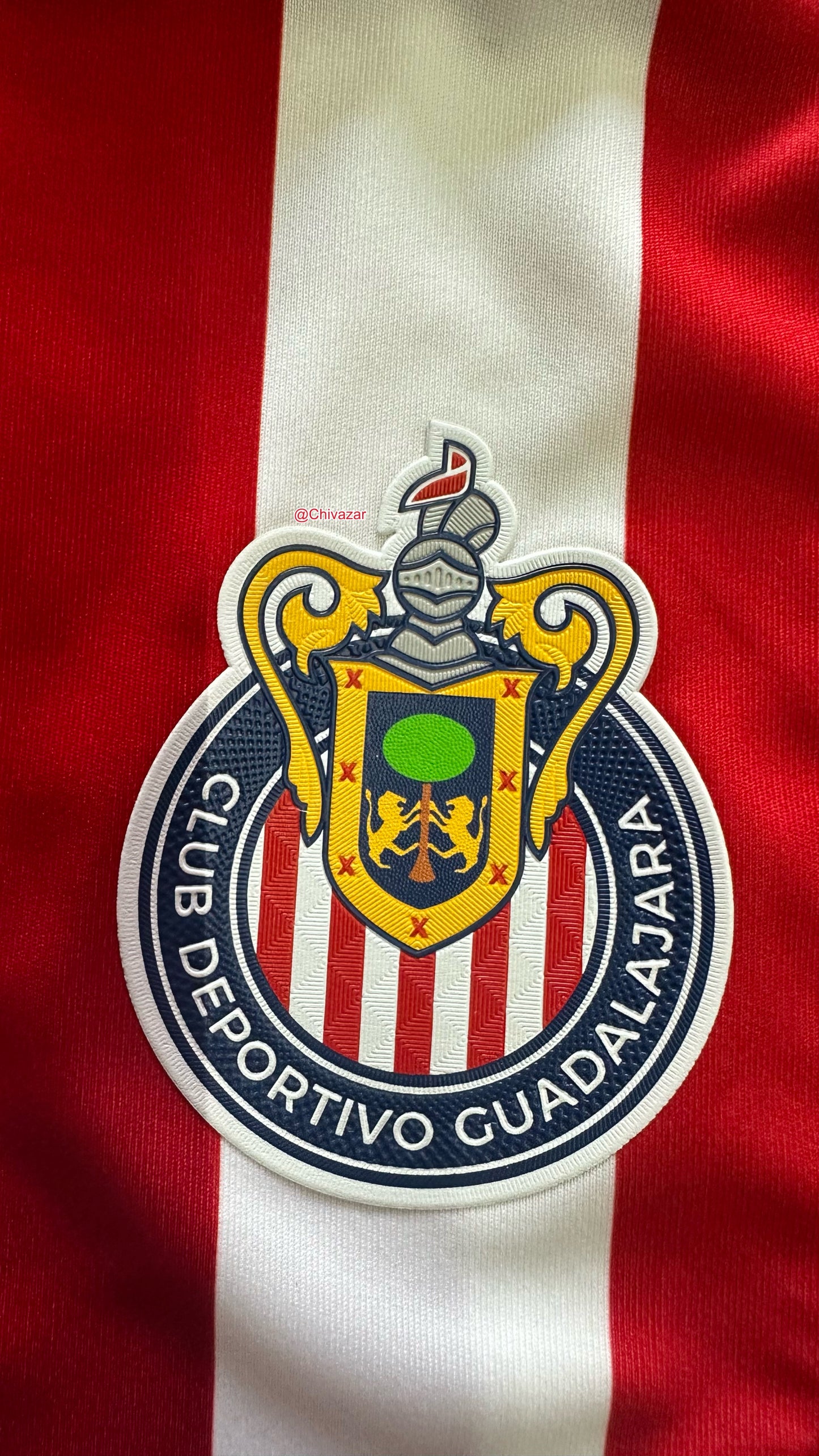 Local 2024-25 JUGADOR