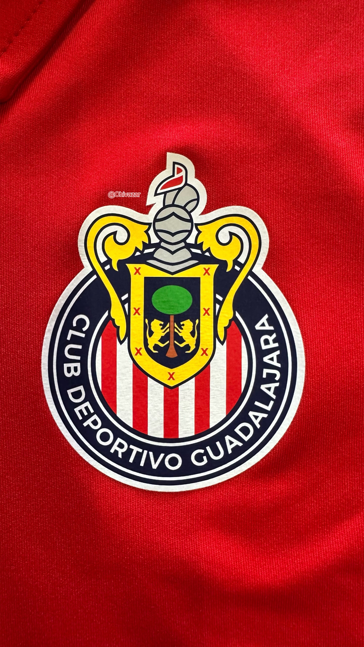Playera polo viaje