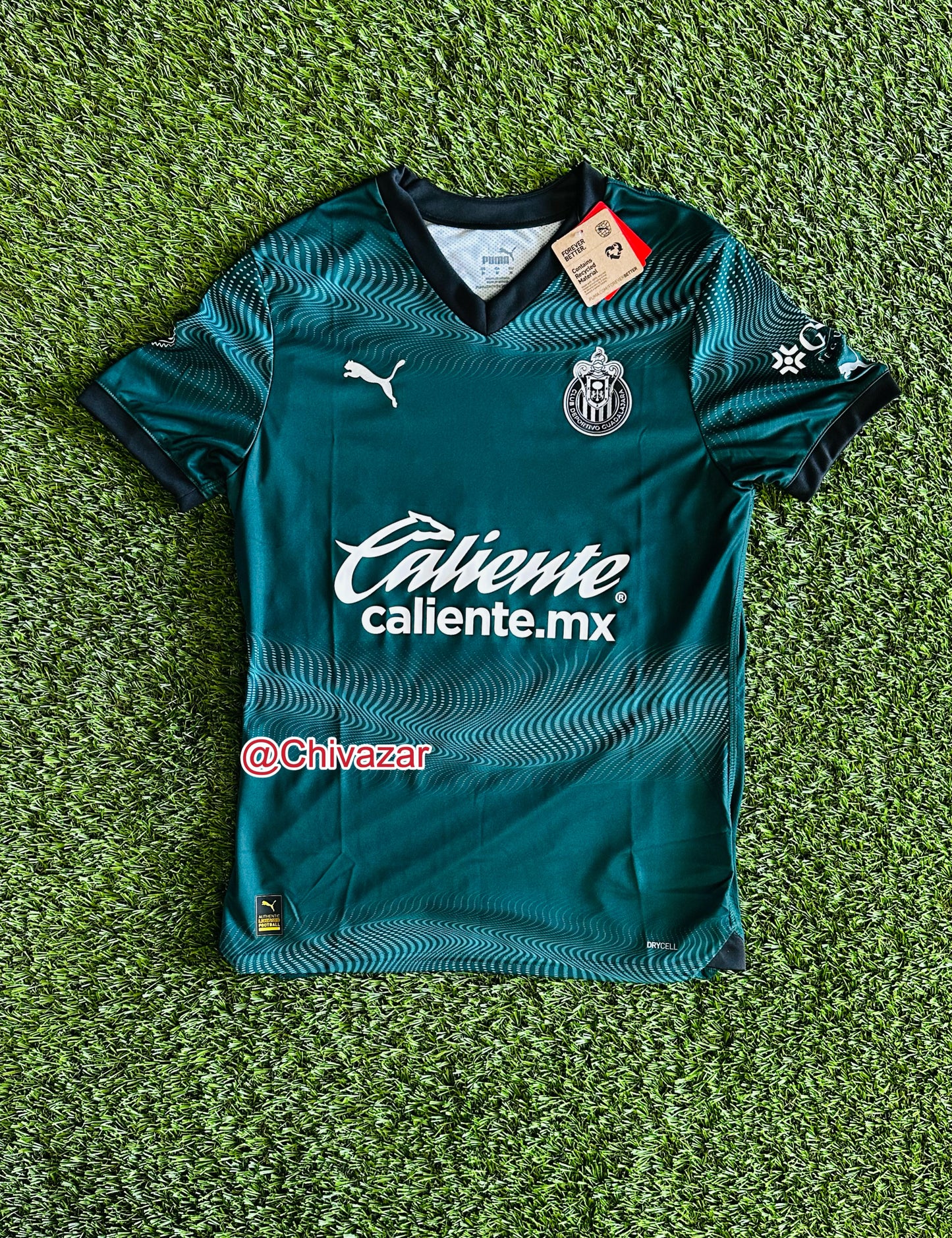 Alternativa 2024 JUGADOR