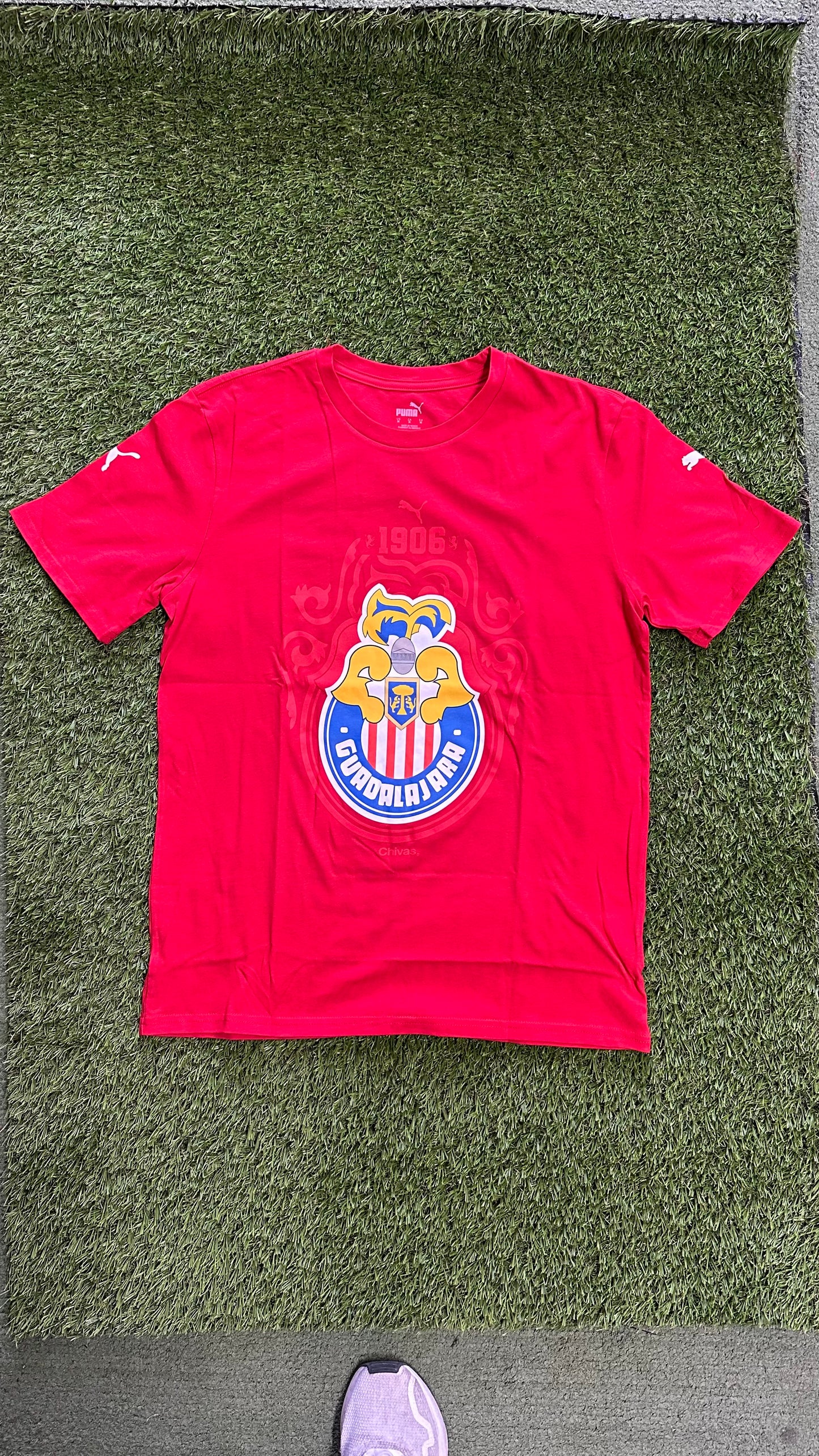 Chivas casual escudo retro