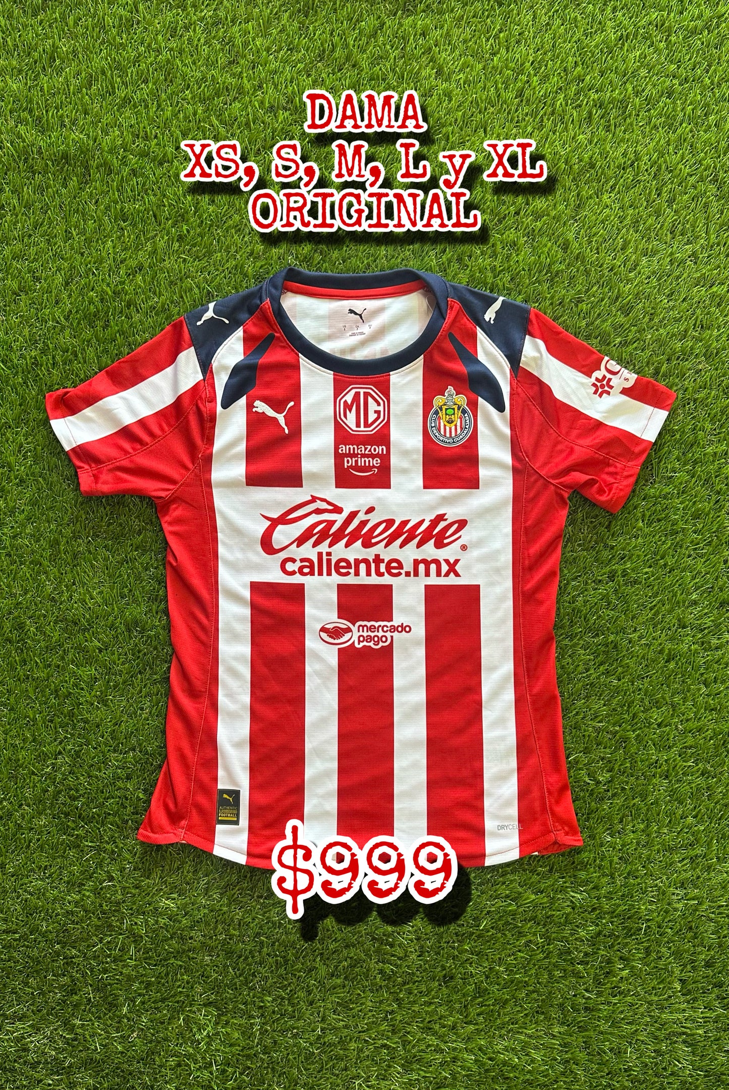 DAMA local 2025-26