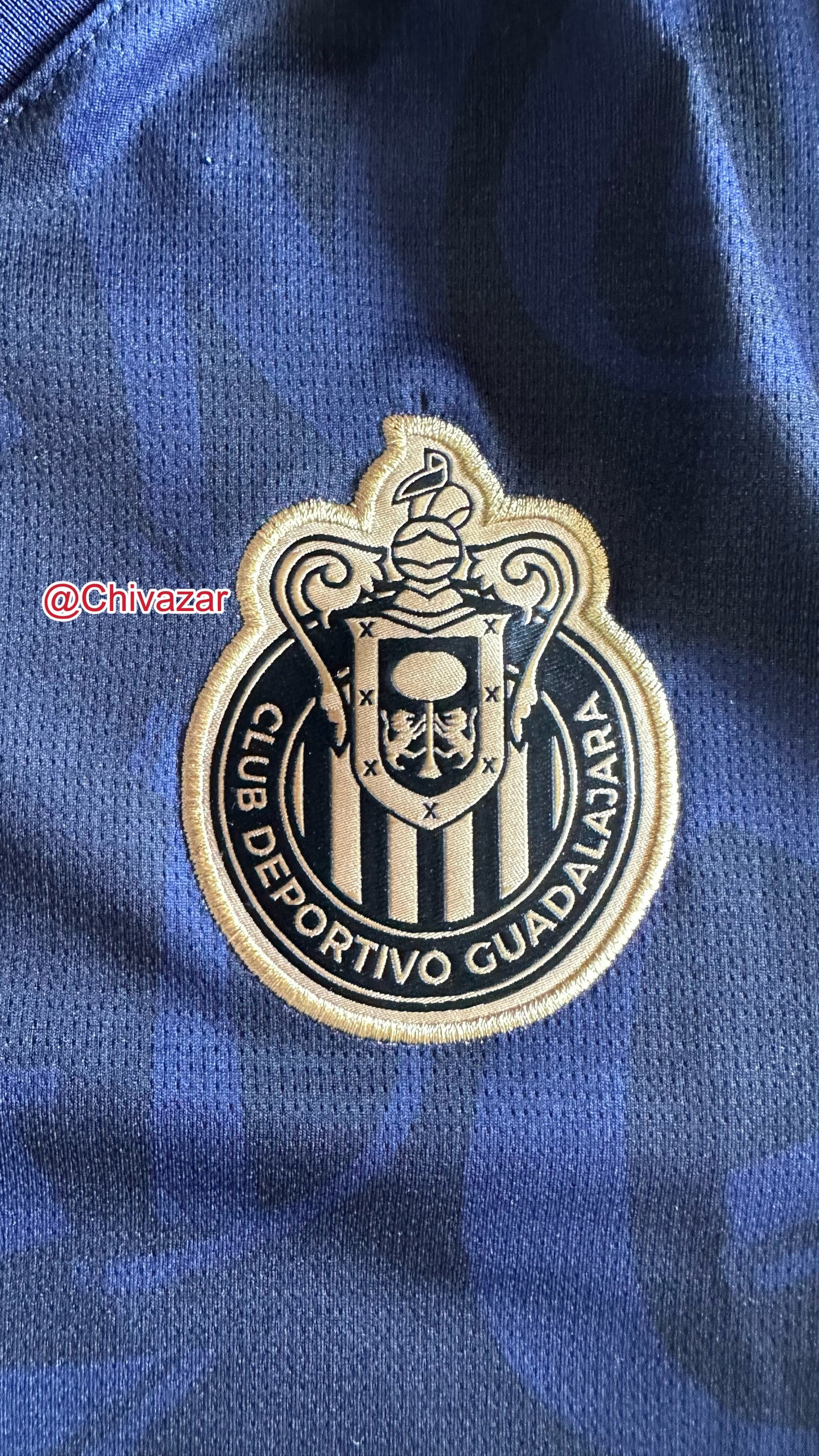Alternativa 2025 dama