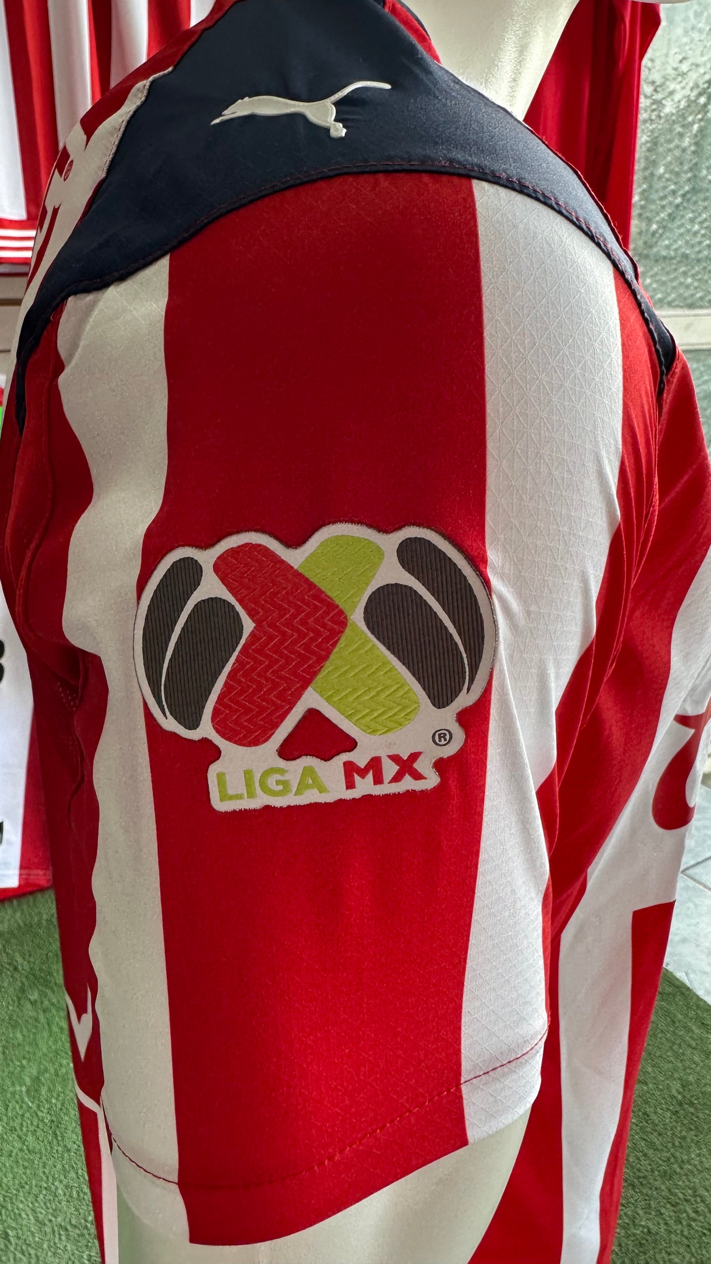 Local 2025-26 JUGADOR
