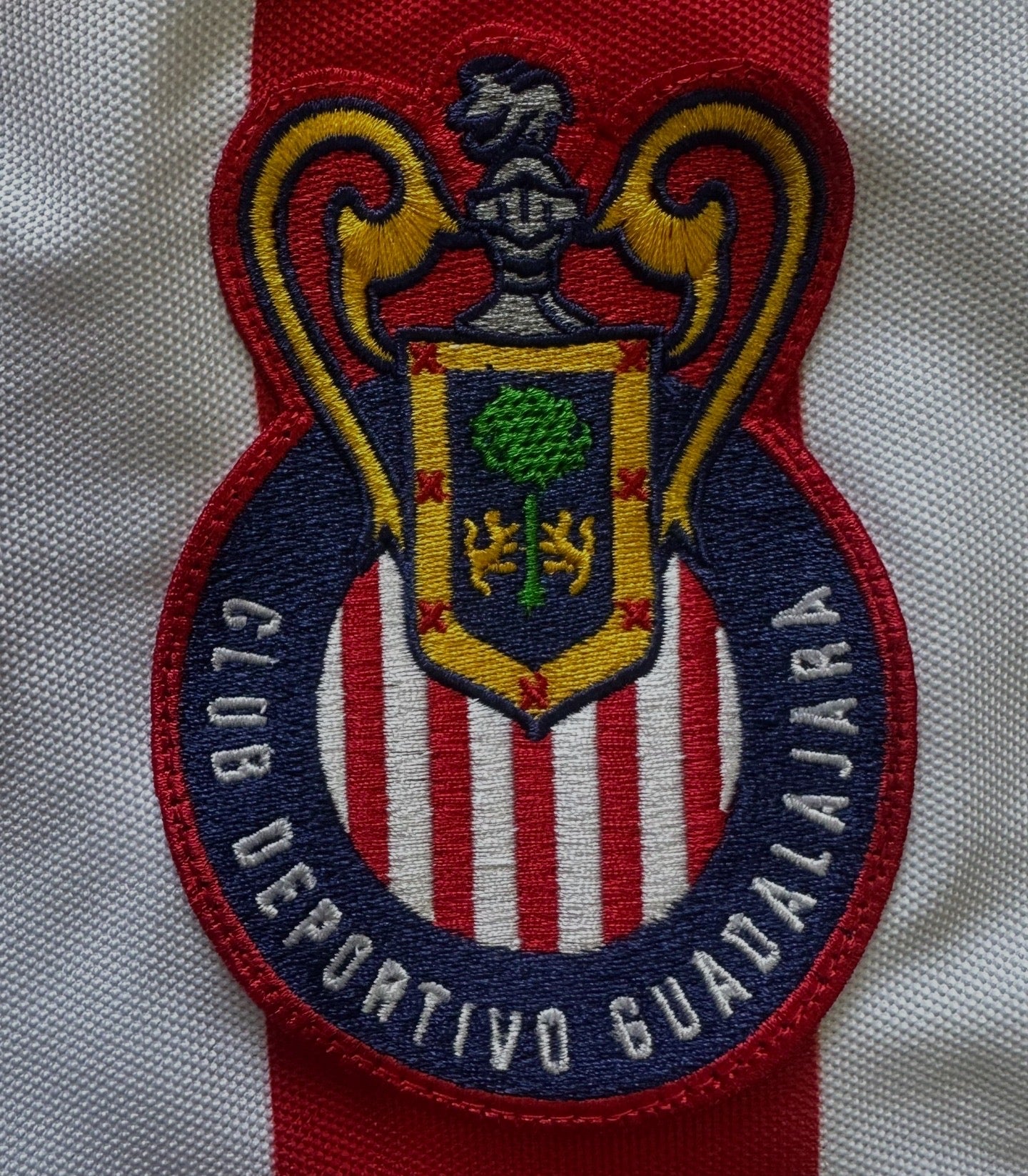 Campeonísimo manga larga